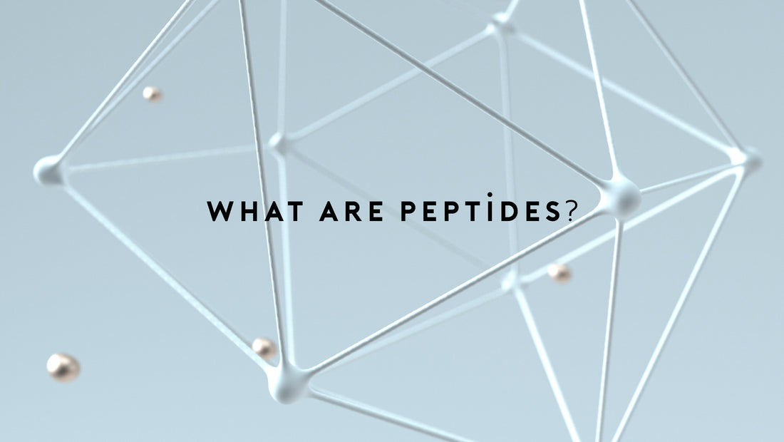 Peptides Explained - What Are Peptides?